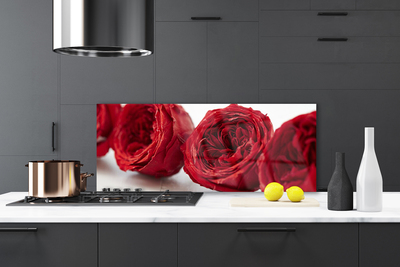 Kitchen Splashback Roses floral red