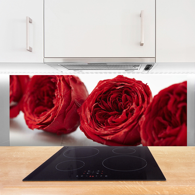 Kitchen Splashback Roses floral red