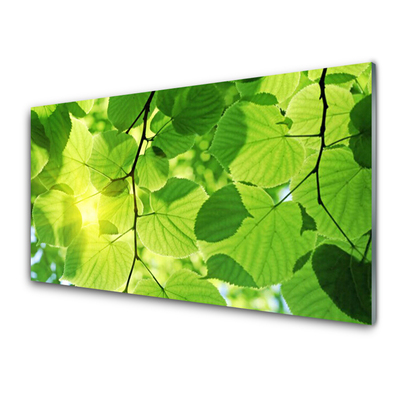 Kitchen Splashback Leaves floral green brown