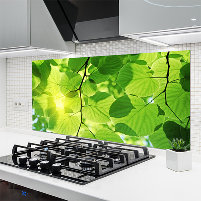 Kitchen Splashback Leaves floral green brown