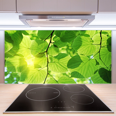 Kitchen Splashback Leaves floral green brown