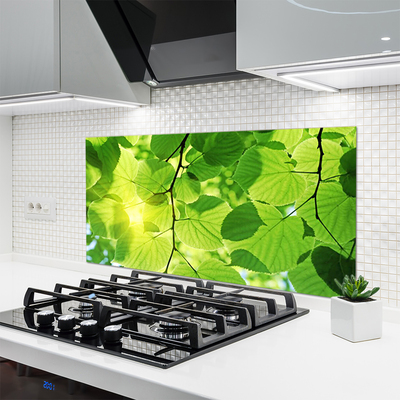 Kitchen Splashback Leaves floral green brown