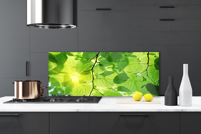 Kitchen Splashback Leaves floral green brown