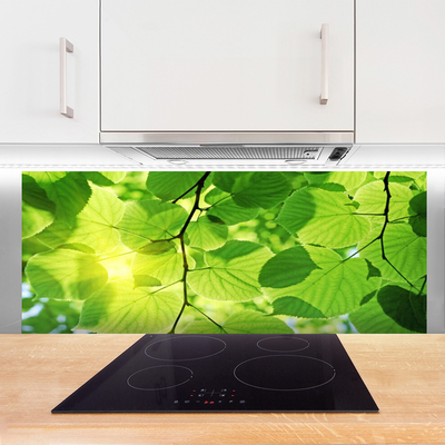 Kitchen Splashback Leaves floral green brown