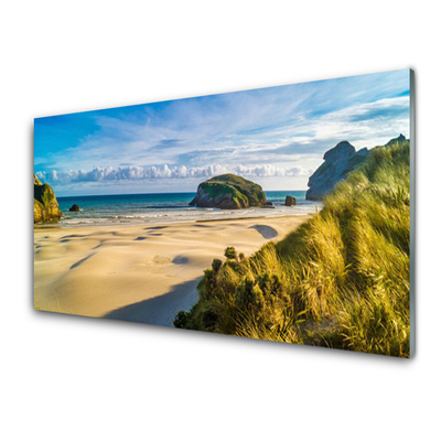 Kitchen Splashback Beach rocks landscape brown grey green