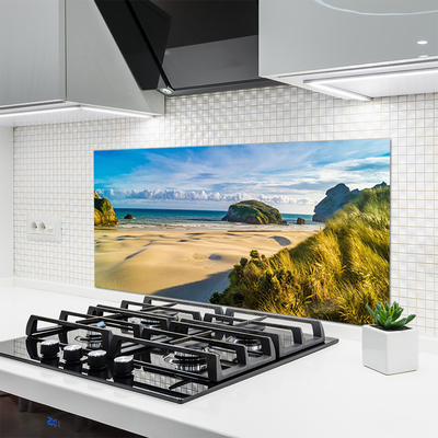 Kitchen Splashback Beach rocks landscape brown grey green