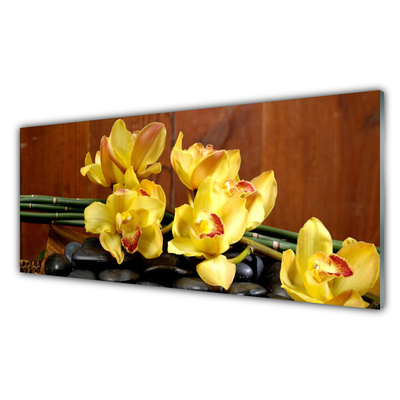 Kitchen Splashback Flower stones floral yellow black