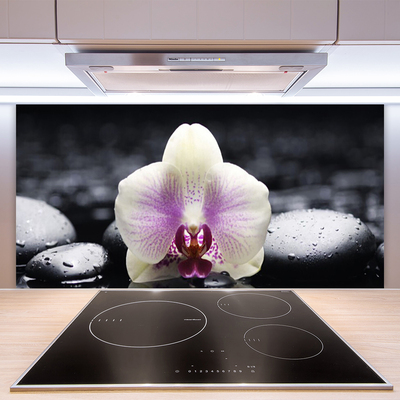 Kitchen Splashback Flower stones floral pink white black