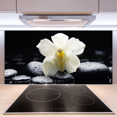 Kitchen Splashback Flower stones floral white black