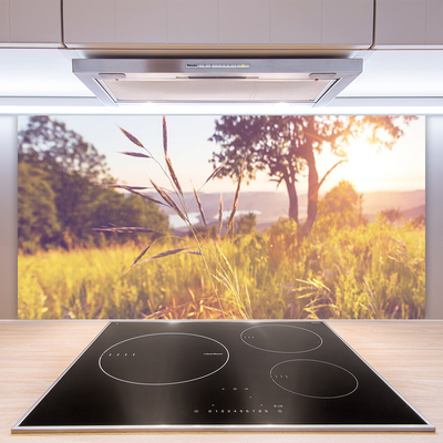 Kitchen Splashback Meadow grass tree nature green brown