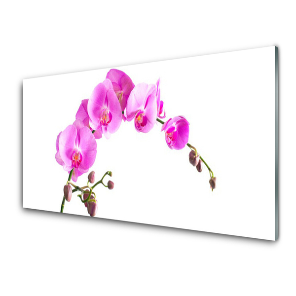 Kitchen Splashback Flowers floral pink