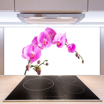 Kitchen Splashback Flowers floral pink