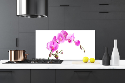 Kitchen Splashback Flowers floral pink