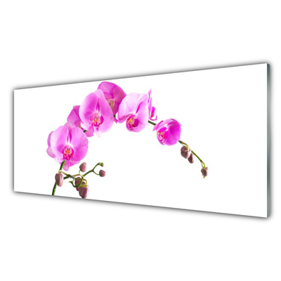 Kitchen Splashback Flowers floral pink