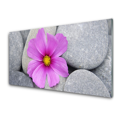 Kitchen Splashback Flower stones floral pink grey