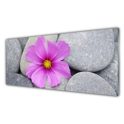 Kitchen Splashback Flower stones floral pink grey