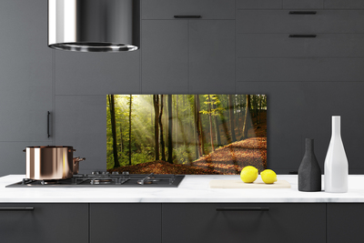 Kitchen Splashback Forest nature brown green