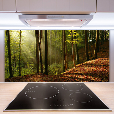 Kitchen Splashback Forest nature brown green