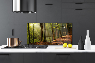 Kitchen Splashback Forest nature brown green