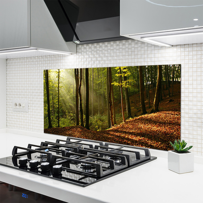 Kitchen Splashback Forest nature brown green