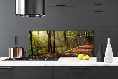 Kitchen Splashback Forest nature brown green