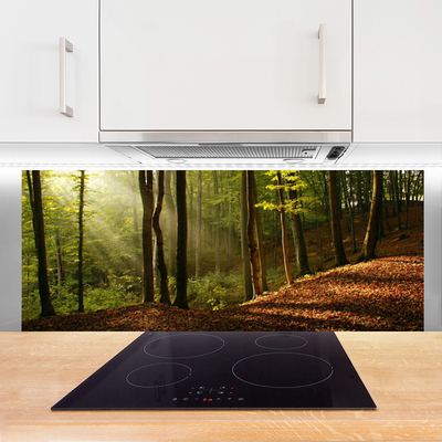 Kitchen Splashback Forest nature brown green