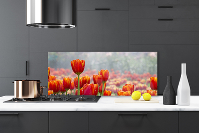 Kitchen Splashback Tulips floral red