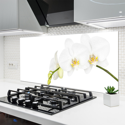 Kitchen Splashback Flowers floral white