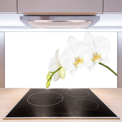 Kitchen Splashback Flowers floral white