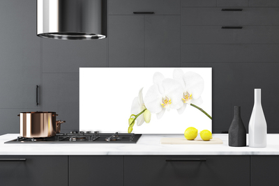 Kitchen Splashback Flowers floral white