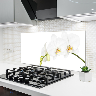 Kitchen Splashback Flowers floral white