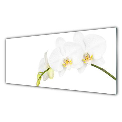 Kitchen Splashback Flowers floral white