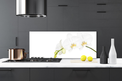 Kitchen Splashback Flowers floral white