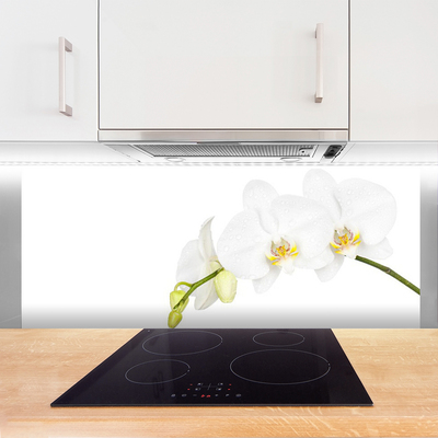 Kitchen Splashback Flowers floral white