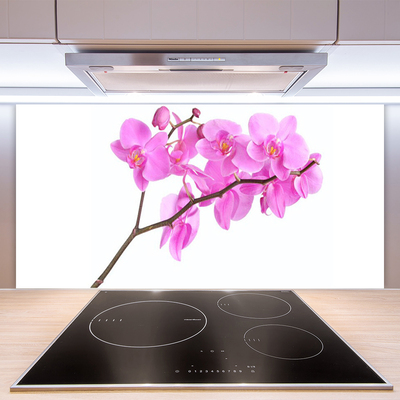 Kitchen Splashback Flowers floral pink