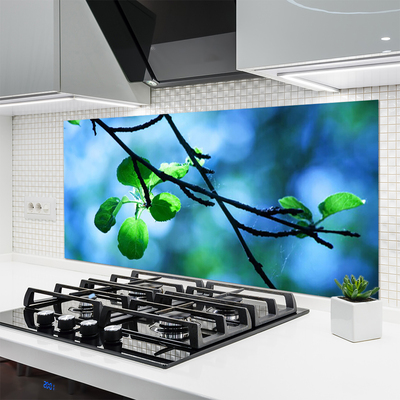 Kitchen Splashback Branch leaves floral black green