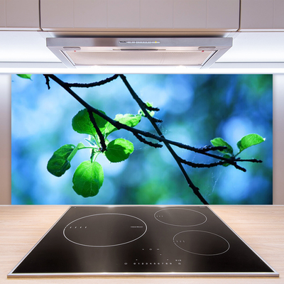 Kitchen Splashback Branch leaves floral black green