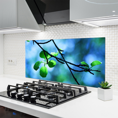 Kitchen Splashback Branch leaves floral black green