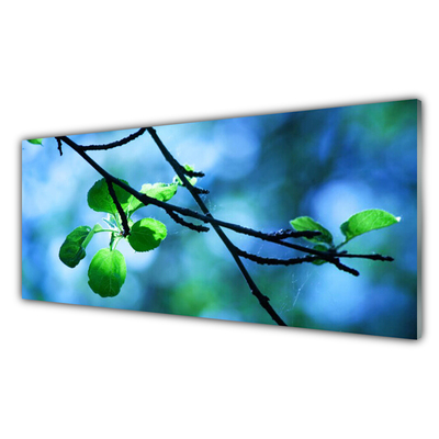 Kitchen Splashback Branch leaves floral black green