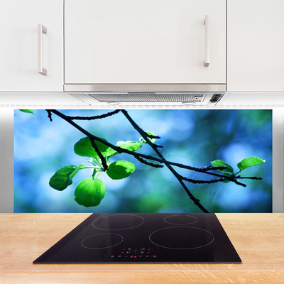 Kitchen Splashback Branch leaves floral black green