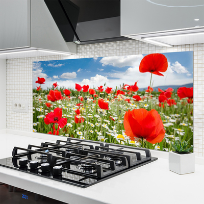 Kitchen Splashback Meadow flowers nature red white green