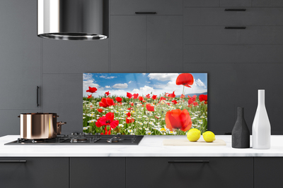 Kitchen Splashback Meadow flowers nature red white green