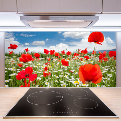 Kitchen Splashback Meadow flowers nature red white green