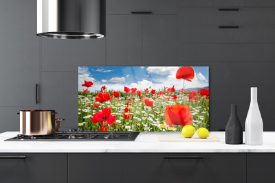 Kitchen Splashback Meadow flowers nature red white green