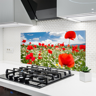 Kitchen Splashback Meadow flowers nature red white green