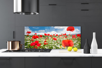 Kitchen Splashback Meadow flowers nature red white green