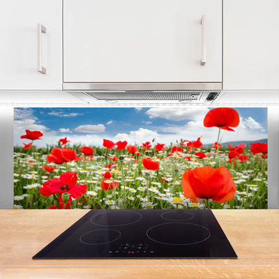 Kitchen Splashback Meadow flowers nature red white green