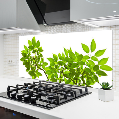 Kitchen Splashback Branches leaves floral brown green