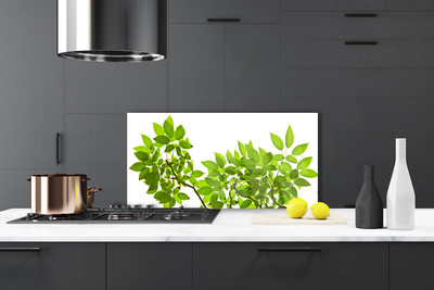 Kitchen Splashback Branches leaves floral brown green