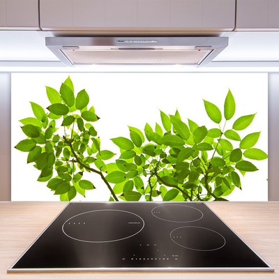 Kitchen Splashback Branches leaves floral brown green